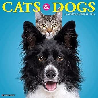 Buy Cats & Dogs 2023 Wall Calendar Book Online at Low Prices in India ...
