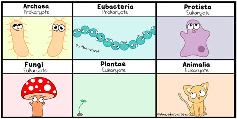 Image result for Plant Sampling Collection Graphics