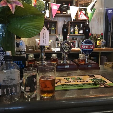 THEODORE BULLFROG (2026) All You Need to Know BEFORE You Go (with ...