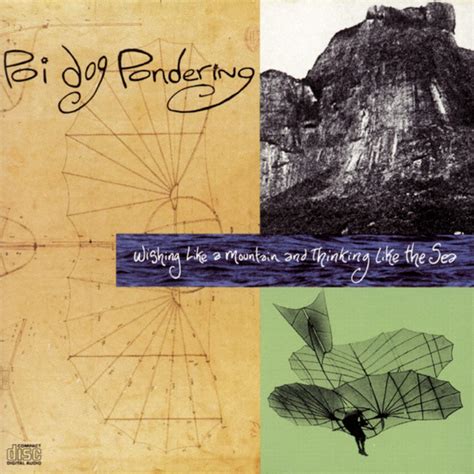 Buy Wishing Like a Mountain & Thinking Like the Sea Online at Low ...
