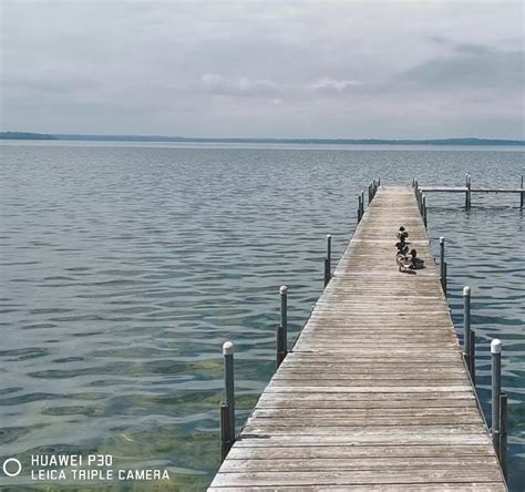 Burrows Park Sportsfield 的图像结果