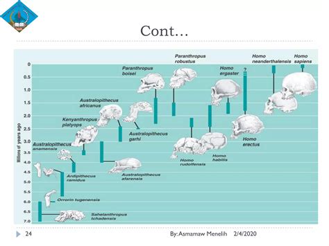 Full Human Evolution 的图像结果