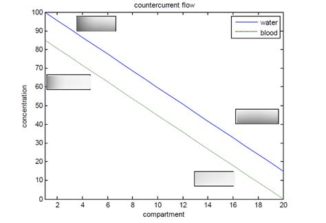 Countercurrent Flow Model 的图像结果