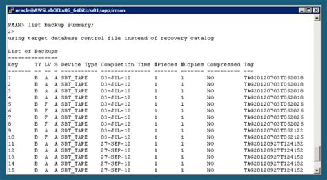 Image result for Test Script and Oracle PNG