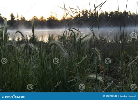 White Horse Lake - Blue Waters and Sky on the Campground Stock Photo ...