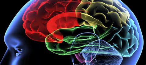 Why hacking the nervous system could be the next big medical treatment