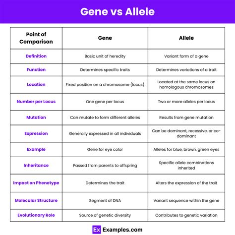 Gene vs Allele - Difference between them Explained with Examples