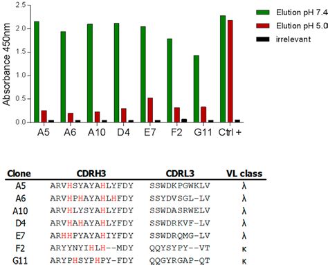 Purpose-Oriented Antibody Libraries Incorporating Tailored CDR3 Sequences