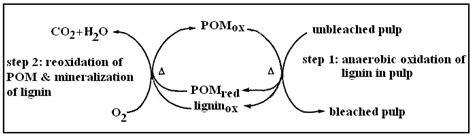 Polyoxometalates in Oxidative Delignification of Chemical Pulps: Effect ...