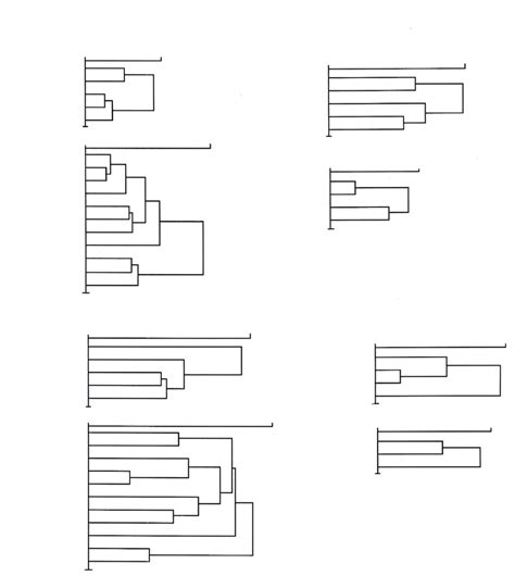 Community Cluster Analysis Drawing 的图像结果