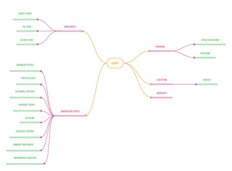Image result for Simple Mind Map Examples