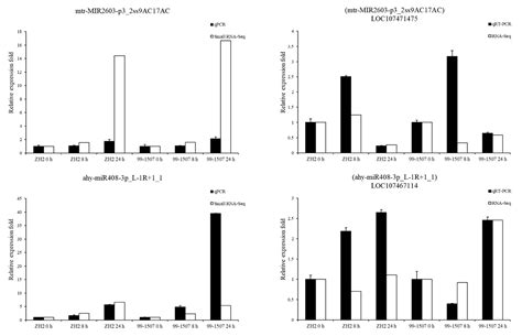 Integration of Small RNA and Degradome Sequencing Reveals the ...