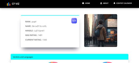 Codeforces Visualizer 的图像结果