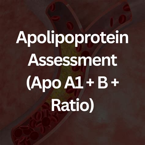 Apolipoprotein Assessment (Apo A1 + B + Ratio) – M&M Labs