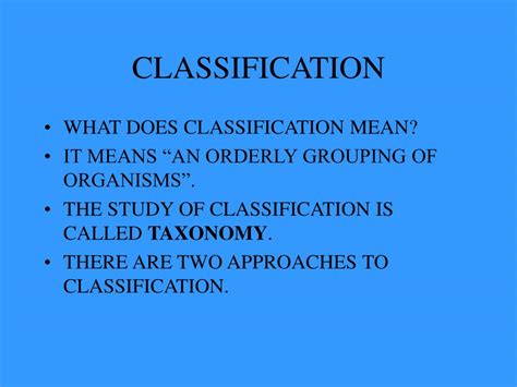 Classification Explained 的图像结果