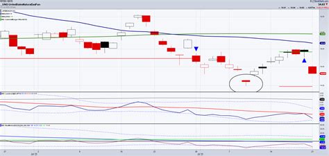 Natural Gas Prices: How Low Can They Go? | Investing.com India