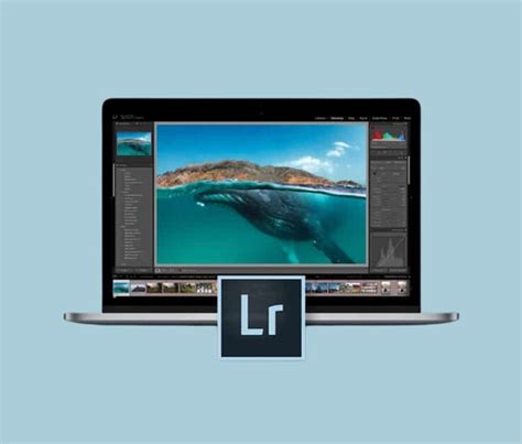Image result for Adobe Editing Software