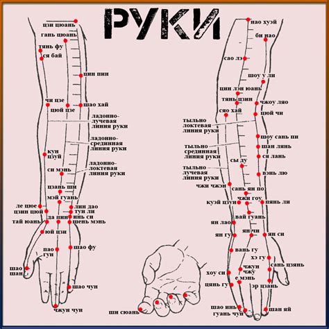 Акупунктурные точки на руке человека схема расположения у мужчин - Фото ...