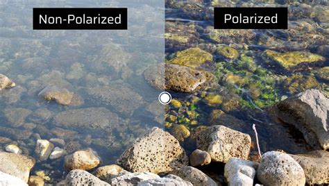 Polarized Vs Non Polarized