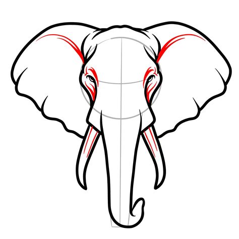 How to Draw an Elephant’s Head from the Front View Step-by-Step ...