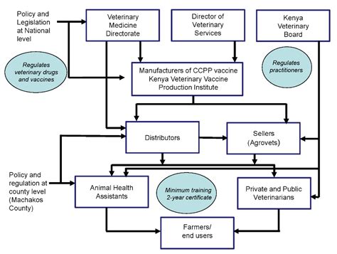 Gendered Barriers and Opportunities for Women Smallholder Farmers in ...