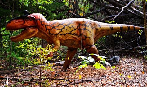 Heard Natural Science Museum & Wildlife Sanctuary (McKinney) - 2021 ...