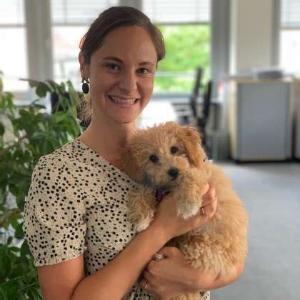 3DSE Management Consultants Office Photos