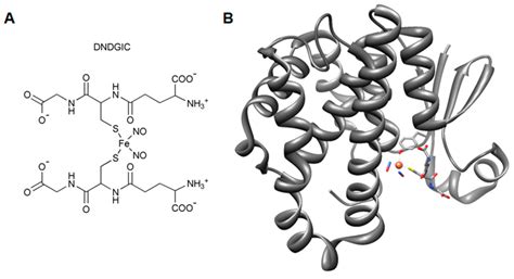 Glutathione Transferase P1-1 an Enzyme Useful in Biomedicine and as ...