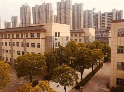 淮安市启英外国语实验学校2023年高一招生简章（学校代码：4037）_腾讯新闻