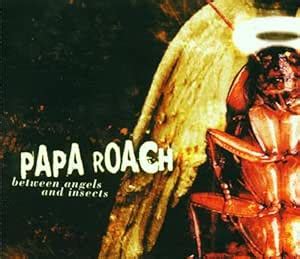 Between Angels and Insects: Papa Roach: Amazon.in: Music}