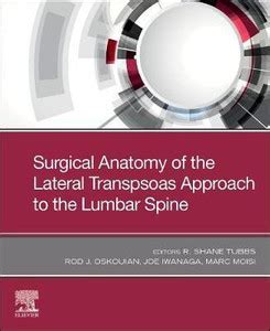 Surgical Anatomy of the Lateral Transpsoas Approach to the Lumbar Spine ...