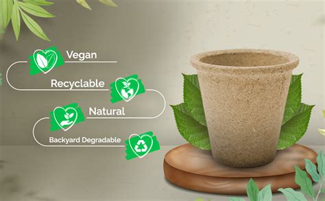 EcoKadai Biodegradable Containers for Plants - Vegan, Eco Friendly ...