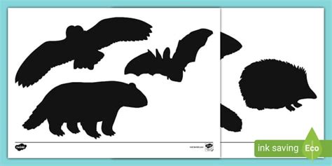 Nocturnal Animals Shadow Puppets Cut-Outs (teacher made)
