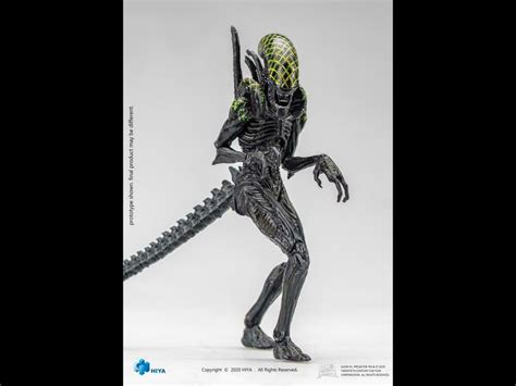 Image result for Alien vs Predator Grid