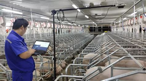 处处都是高科技，规模化养猪场运用的微生态环境综合控制技术！