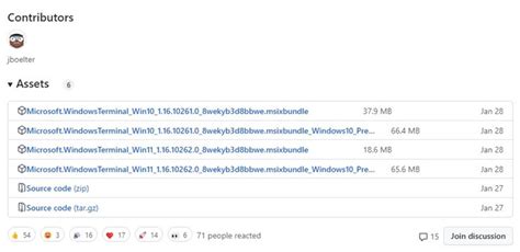 Image result for Installing Windows Terminal
