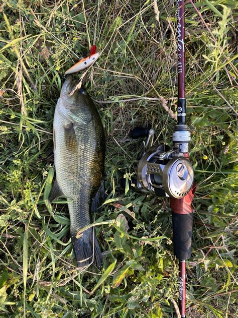 Image result for Java BFS Setup