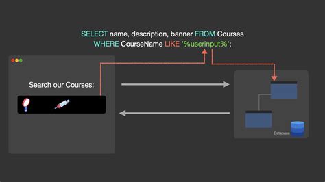 Image result for SQL Injections Explainted