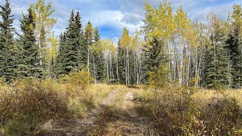 First Nation in Yukon applauds rejection of proposed agricultural land application