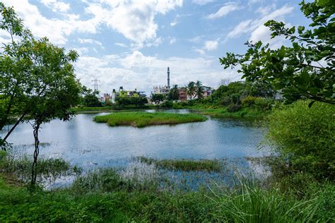 From Wasteland to Oasis: Eco-restoration of Anchepalya lake - GoodEarth