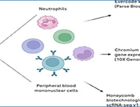 Single-cell RNA-seq 的图像结果