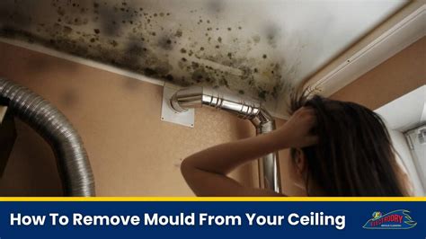 How To Stop Mould Bathroom Ceiling at Phyllis Mosier blog