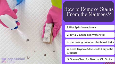 How To Remove Stains From Mattress?: 5 Steps That Work