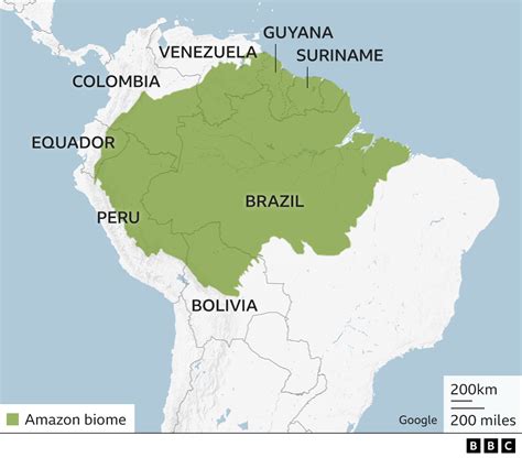 Amazon deal lacks concrete measures, say climate activists - BBC News