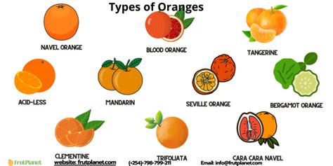 Image result for Sum of Three Numbers in Python