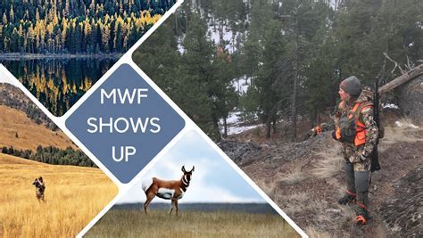 montana game and fish miles cityDownload it from montana game and fish ...