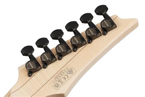 IBANEZ ELECTRIC GUITAR SERIES Genesis RG565R-TAAL MUSICALS – Taal Music ...