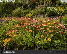 fiori in inglese giardino cottage cagna inglese con fiori casa fiori in inglese giardino cottage cagna inglese con fiori casa
