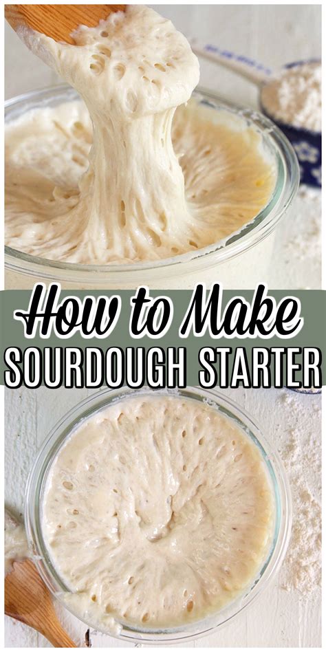 How to Make Sourdough Starter recipe | Starters recipes, Sourdough ...