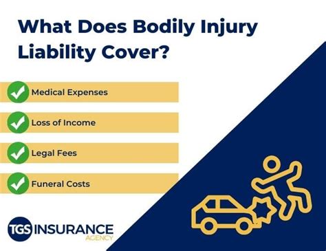 Basic Liability Insurance 的图像结果